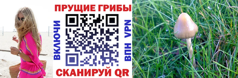 Псилоцибиновые грибы мухоморы  наркошоп  Брюховецкая 